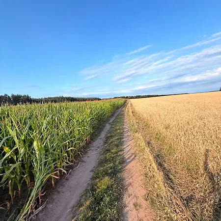 Ostoja Bukowo Zacisze - Na Kaszubach Horská chata Borowy Mlyn