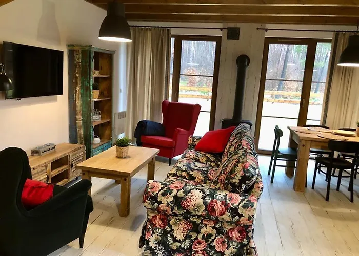 Ostoja Bukowo Zacisze - Na Kaszubach シャレー Borowy Młyn